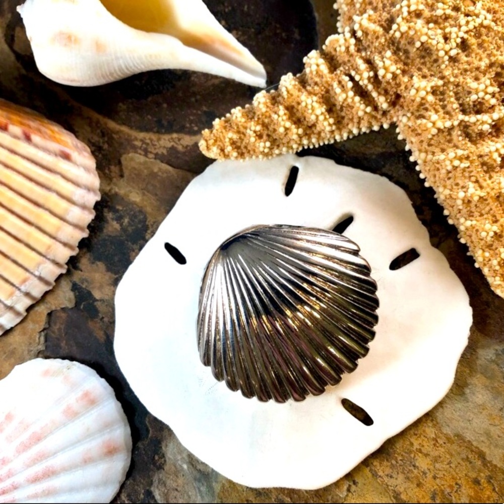Seashell brooch